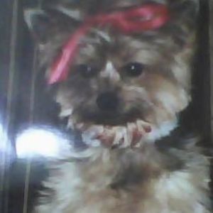 Meet your Posher, Karen